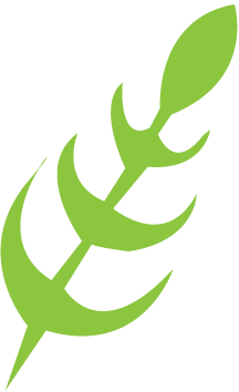 Fibre symbol